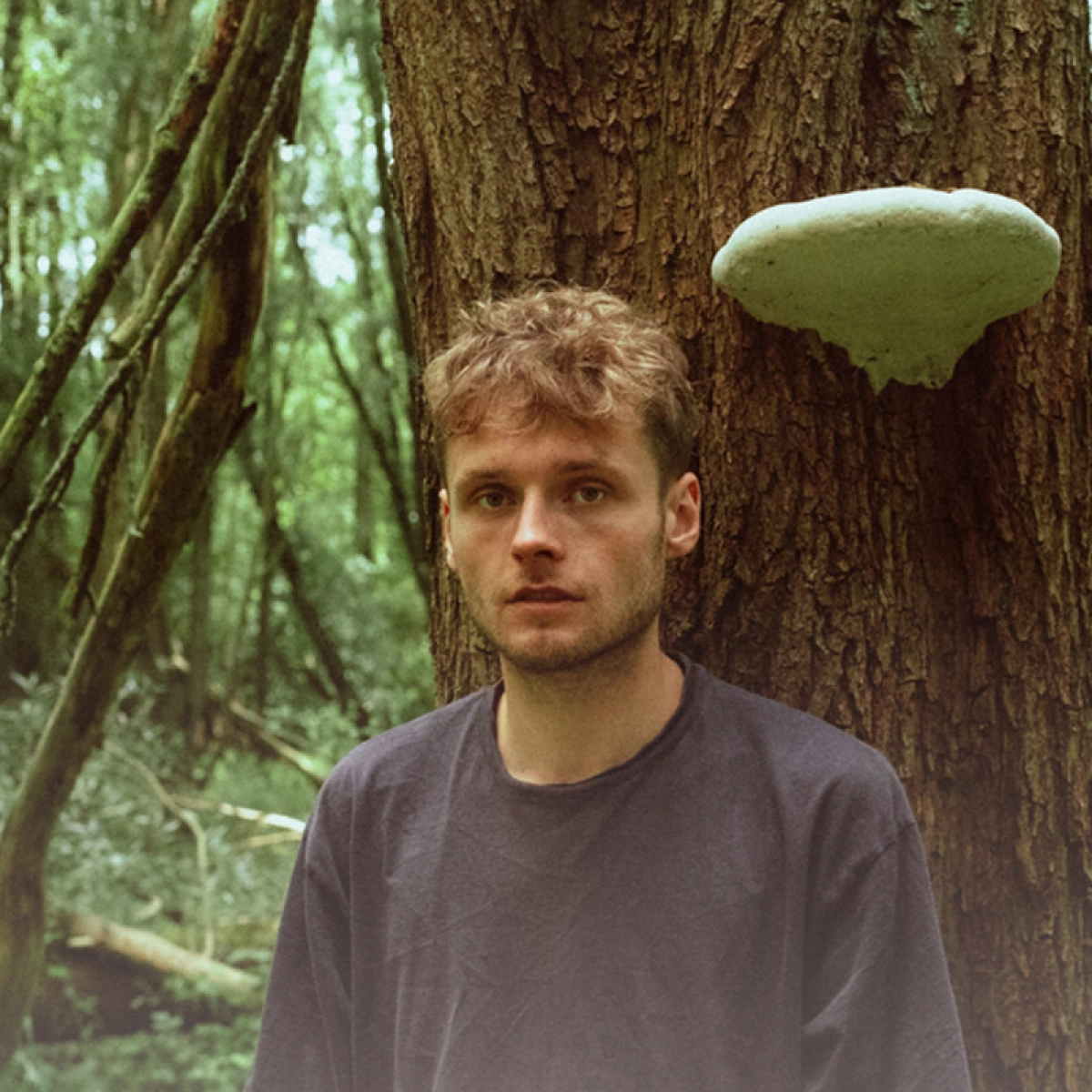 Hit The North: Alexander Moto // Louis Pedro // tays